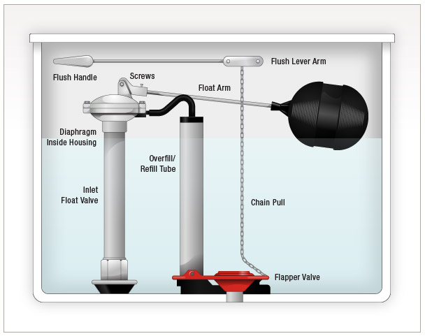 Fix Leaky Toilets: A Step-by-Step Guide to Replacing Your Fill Valve