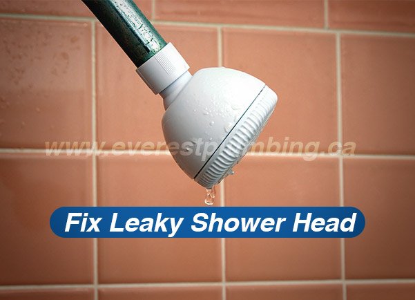 Fix a Leaky Shower Faucet: Stop Dripping Shower Head