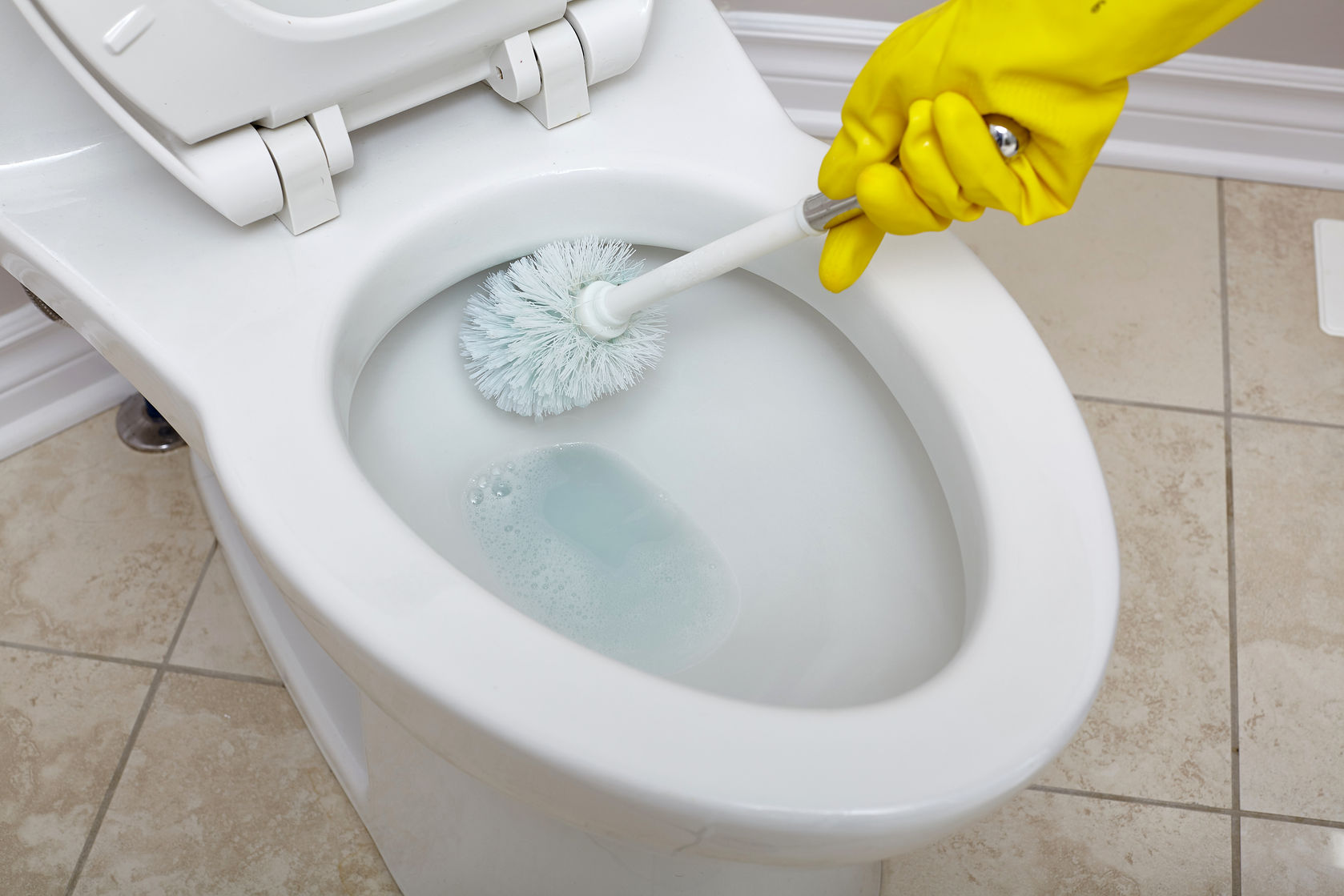 Remove Stubborn Toilet Bowl Stains: Hard Water, Rust & More