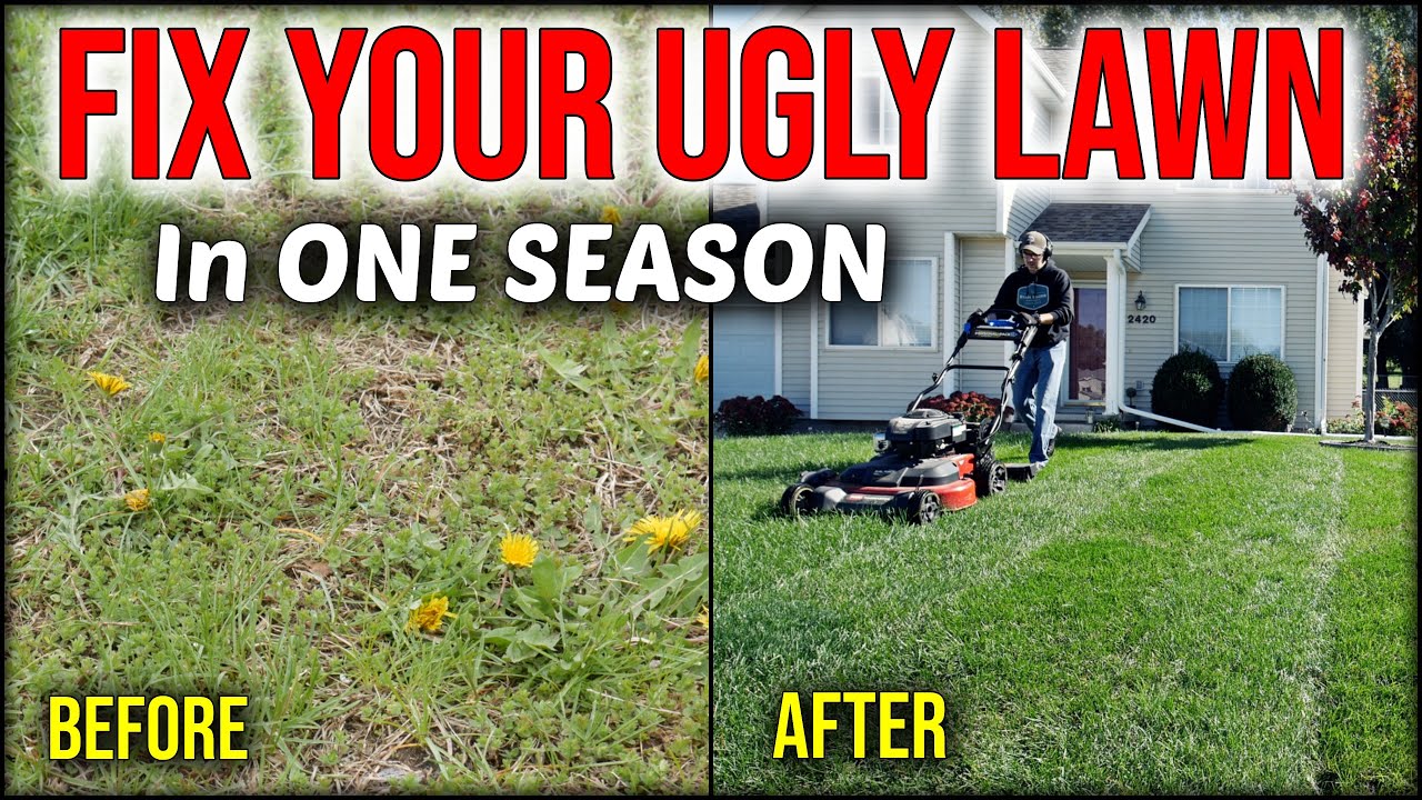 Lawn Fertilization