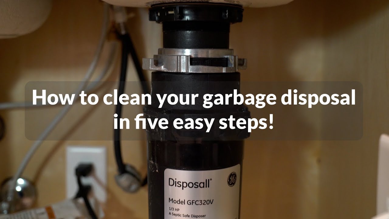 Garbage Disposal Cleaning